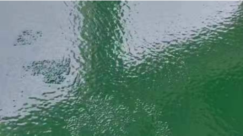 環氧地坪起皺是怎么回事